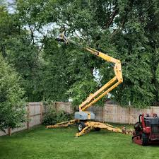 Trusted Heyworth, IL Tree Removal and Landscaping Services Experts